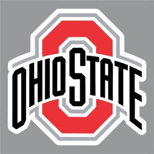 Pegatina de calcomanía 700-175 Ohio State de 3" para camioneta, autocaravana, bote y más - Imagen 1 de 1
