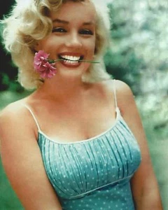 Marilyn Monroe Flower In The Mouth 8x10 Photo Print - Picture 1 of 1