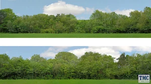 ID149A ID Backscenes OO Just Trees 3 Metres Long in 2 sections (38cm x 300cm) - Picture 1 of 1