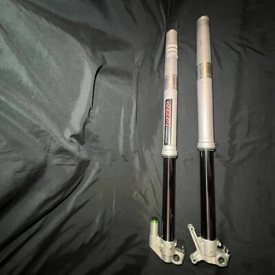 Horquillas delanteras Kawasaki KX450F 2009-2018 OEM Showa SFF Air TAC 2013-2019 KX250F Foto 1 de 4