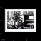 Vintage Photo LIVING ROOM CHRISTMAS TREE PIANO TRICYCLE