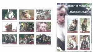 Stamp sheet+block Bonnet macaque 2020 Korea issue Monkeys - Picture 1 of 1