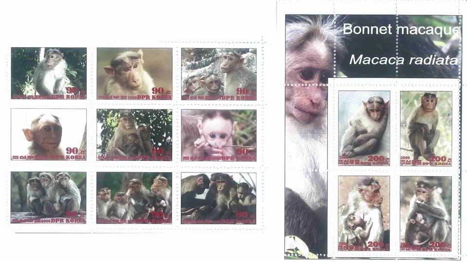 Stamp sheet+block Bonnet macaque 2020 Korea issue Monkeys - Image 1 of 1