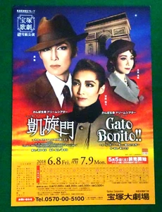 Todoroki Yu Takarazuka Gaisenmon 2018 Japan Chirashi flyer A4 Musical Nozomi Fut - Picture 1 of 3
