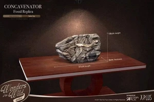 STAR ACE Toys Concavenator Fossil Replica Limited Dinosaur Fossil Model New - Picture 1 of 7