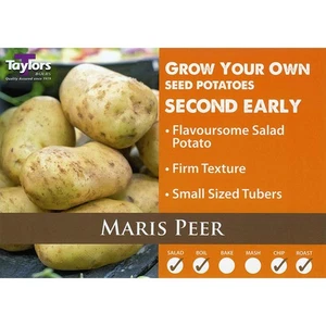 Maris Peer - Winter Seed Potato - Second Early - Available in bags of 10 - Picture 1 of 1