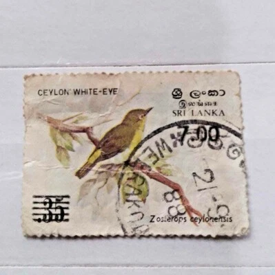 Sri Lankan Bird Stamp Zosterops ceylonensis 1983 Ceylon WHITE-EYE Original Cents - Image 1 of 2