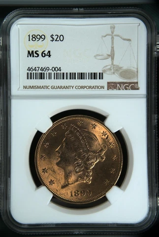 1899 $20 Liberty Head Double Eagle Gold NGC Certified MS-64 Semi Key Date 9004 Cover