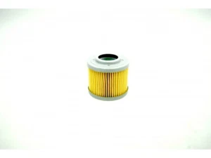 Filtro de aceite APRILIA Pegaso 650 / Moto 6.5 AP0256185 Filtro de aceite Pegaso 650 / Moto 6.5 - Imagen 1 de 2