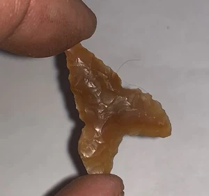 Incredibly Rare! 1 1/4" Strong Barbed Auriculate Agate Columbia River x Buehler - Picture 1 of 3