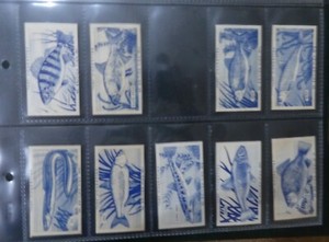 35/50 Turf Cigarette cards British Fish 1954