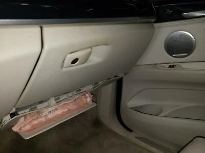 Porta caixa de luvas 14 15 16 17 18 BMW X5; bronzeado NAEX - Imagem 1 de 4