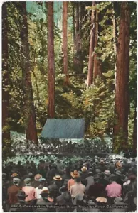 Postal original de 1900 de concierto de música Bohemian Grove Russian River California - Imagen 1 de 2