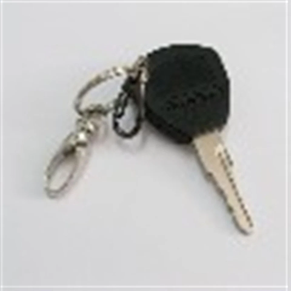 Anello nel portachiavi master, giochi di prestigio,trucchi magia,cilindromagico