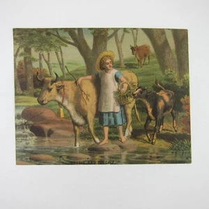 Victorian Trade Card Girl & Cows Cross Water Stream Trees Stones Bufford Boston - Picture 1 of 14