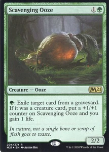 1X SCAVENGING OOZE FOIL 204/274 CORE 2021 M21 MTG MAGIC NM X1 (yourdeckbuilder) - Bild 1 von 1