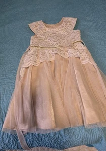 Jona Michelle Beige Tulle Lace  Special Occasion Dress size 6 - Picture 1 of 5