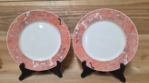 Set of 2 Villeroy & Boch SIENA Salmon Marble Vitro-Porcelaine 8" Salad Plates - Picture 1 of 6