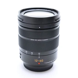 Panasonic LEICA DG VARIO-ELMARIT12-60mm F/2.8-4.0ASPH.POWEROIS #303 - Picture 1 of 12