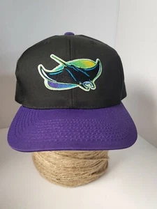 Vintage Tampa Bay Rays Snapback Hat - Picture 1 of 8