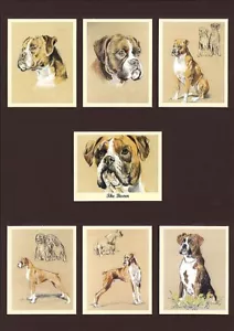 More details for the boxer - dog breeds - perikim collectors trading card set of 7