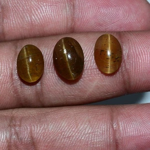 3 Pcs Natural Apatite Cats Eye Oval Cabochon Untreated Stunning Gemstones Lot - Picture 1 of 8