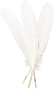 50Pcs White Feathers 8~10 In,Beautiful Bulk Long Feather for Crafts（21-25Cm）,Big - Picture 1 of 6