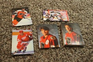 1998 1999 Panini Hockey Photo Cards NHL You Choose FREE SHIPPING! 4 x 6 STARS!
