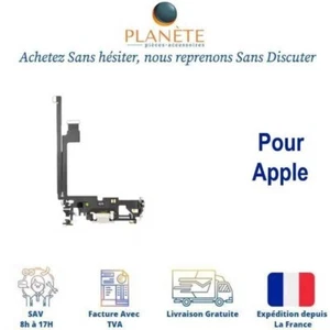 Connecteur de Charge Argent Pour Apple iPhone 12 Pro Max A2342 A2410 A2411 A2412 - Photo 1 sur 1