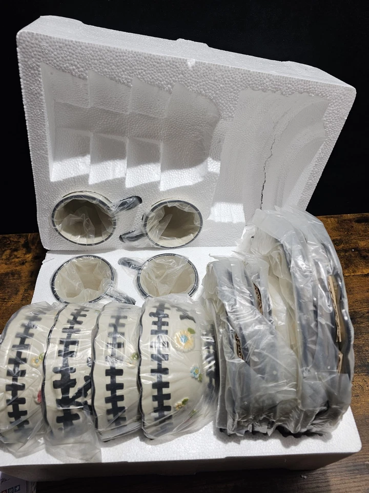 全新 Temptations GINGHAM 花园黑色花边瓢虫花朵蝴蝶结餐具 适用于 4 件  — 第 1/4 张图片