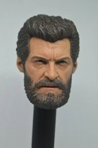 Eleven Hot 1/6 Scale Logan Head Sculpt Toys Wolverine Figure  X-men - Picture 1 of 6
