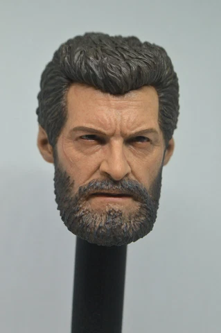 Eleven Hot 1/6 Scale Logan Head Sculpt Toys Wolverine Figure  X-men Cover