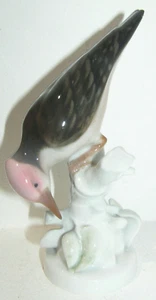 PORCELANA ROSENTHAL PÁJARO PÁJARO PÁJARO PINTADO A MANO A MANO AÑOS 1930/40  - Imagen 1 de 5