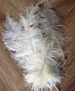10 Large Ostrich Feathers WHITE Craft Centerpiece Wedding Party Decor 60-70cm - Picture 1 of 1