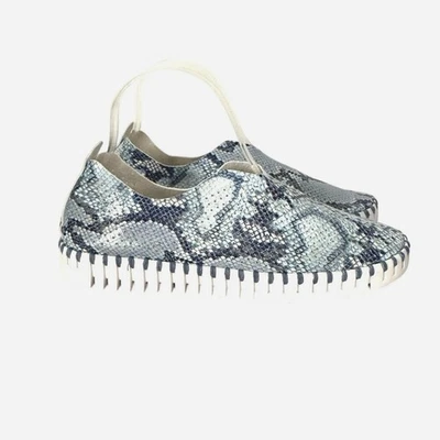 ILSE JACOBSEN Women’s Tulip Slip On Blue Snake Print Shoes Size 37 US 7 - Image 1 of 4