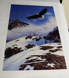 Vintage 1982 Jody Thompson SIGNED LTD. ED. Art Print Bald Eagle / MTS. - Picture 1 of 4