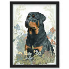 Rottweiler Dog Flower Field Watercolour Framed Wall Art Picture Print A4