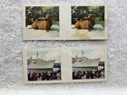 True to Life Stereo Picture Cards Dachshund Dog #8 Fair Sky Sydney #9 Cereal Vtg