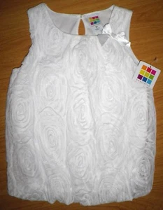 NWT Healthtex Girls Sleeveless Floral Lace Pullover Bubble Dress Shirt  WHITE 3T - Bild 1 von 6