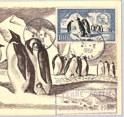 FRENCH ANTARCTICA TAAF Card PENGUINS 100f Stamp 1958 SIGNED Chef Expedition YF41 - Image 1 of 4