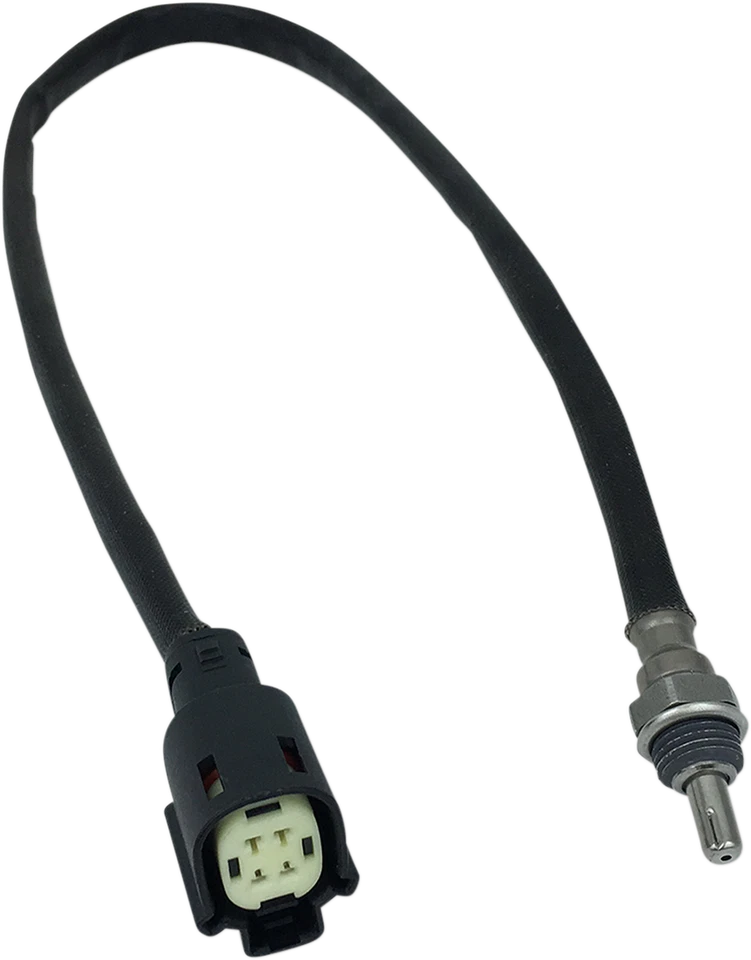 2014-2019 para Harley Iron 883 XLN 12mm sensor de oxígeno cámara trasera doble Foto 1 de 1