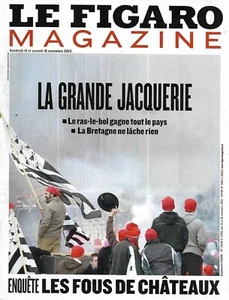 El Figaro Revista N º 21549 15/11/2013 Revolte DS Copas Rojo _ Locos Castillos - Imagen 1 de 1