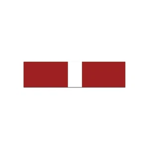 Coast Guard Good Conduct Ribbon Sticker Decal - Bild 1 von 7