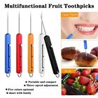 Tooth Cleaning Metal Toothpick Push-pull Fruit Toothpick  Hiking