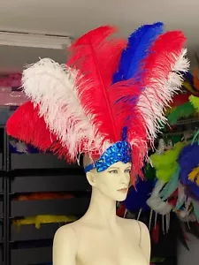 Copricapo Piuma di Struzzo Showgirl Samba Carnevale MADE IN USA, Martedì Grasso - Foto 1 di 8