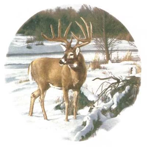 White Tailed Deer Stag Winter Snow Overglaze Ceramic Waterslide Decals - Picture 1 of 5
