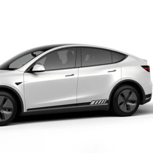 Edition 1 Side Stripes For Tesla Model Y Rocker Panel Car Door Side Skirt Decals - Imagen 1 de 11