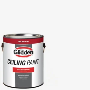 1 gal. High-Hiding White Dead-Flat Interior Ceiling Paint - Picture 1 of 3