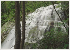 Cartolina NC Rainbow Falls Pisgah Nat'l Forest Horsepasture River Jackson Cty nuova di zecca - Foto 1 di 1