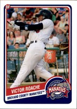 2014 Brevard County Manatees Choice #17 Victor Roache Tampa Florida FL Card